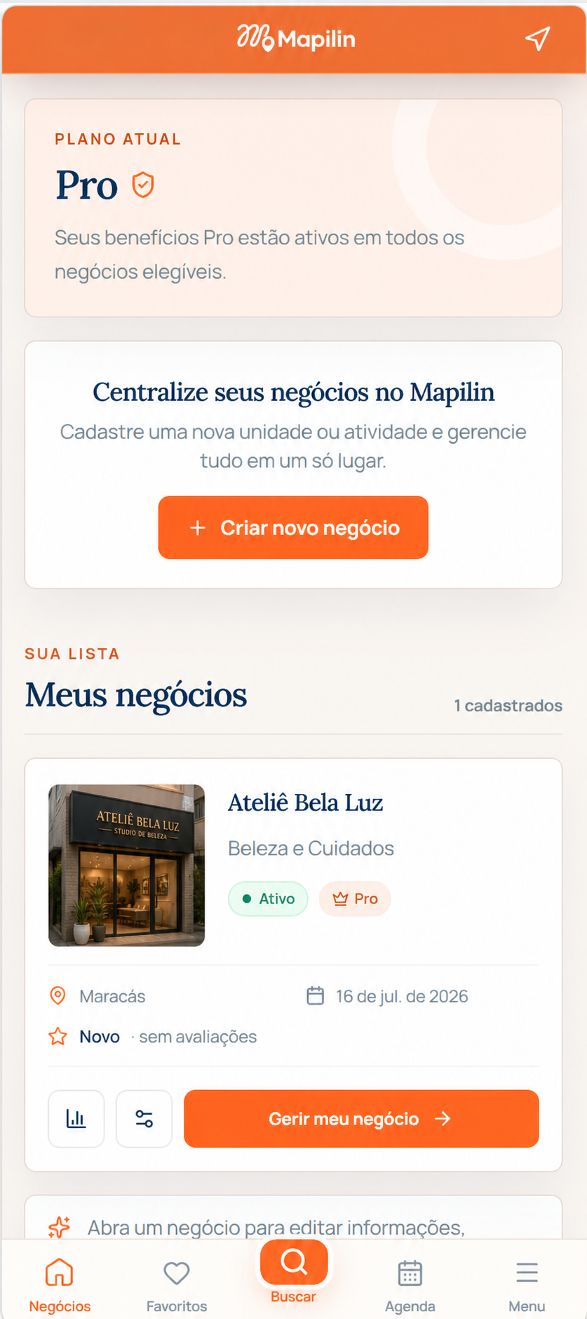 Gestão de um negócio fictício no Mapilin